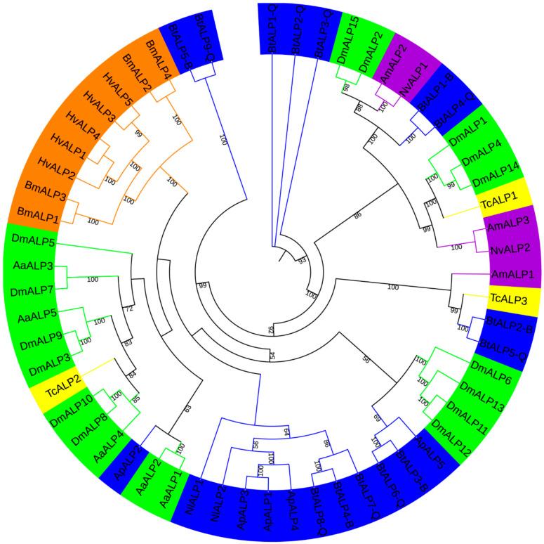 https://cdn.ncbi.nlm.nih.gov/pmc/blobs/7731/8065556/eebf9c0b3f77/genes-12-00497-g001.jpg