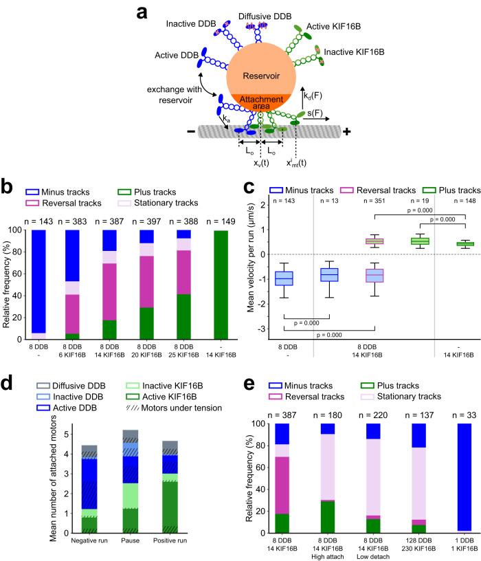 https://cdn.ncbi.nlm.nih.gov/pmc/blobs/7732/10662051/d48e7ea07967/41467_2023_42605_Fig5_HTML.jpg