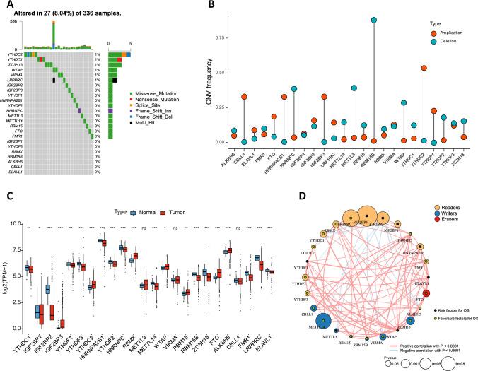 https://cdn.ncbi.nlm.nih.gov/pmc/blobs/7732/7880120/04415353c86b/jitc-2020-001646f01.jpg