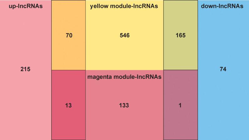 https://cdn.ncbi.nlm.nih.gov/pmc/blobs/7735/9590110/bb2c89747ad8/fonc-12-1022097-g002.jpg