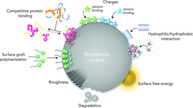 https://cdn.ncbi.nlm.nih.gov/pmc/blobs/7736/11840620/1c2dcb2ece6b/ao4c08140_0003.jpg