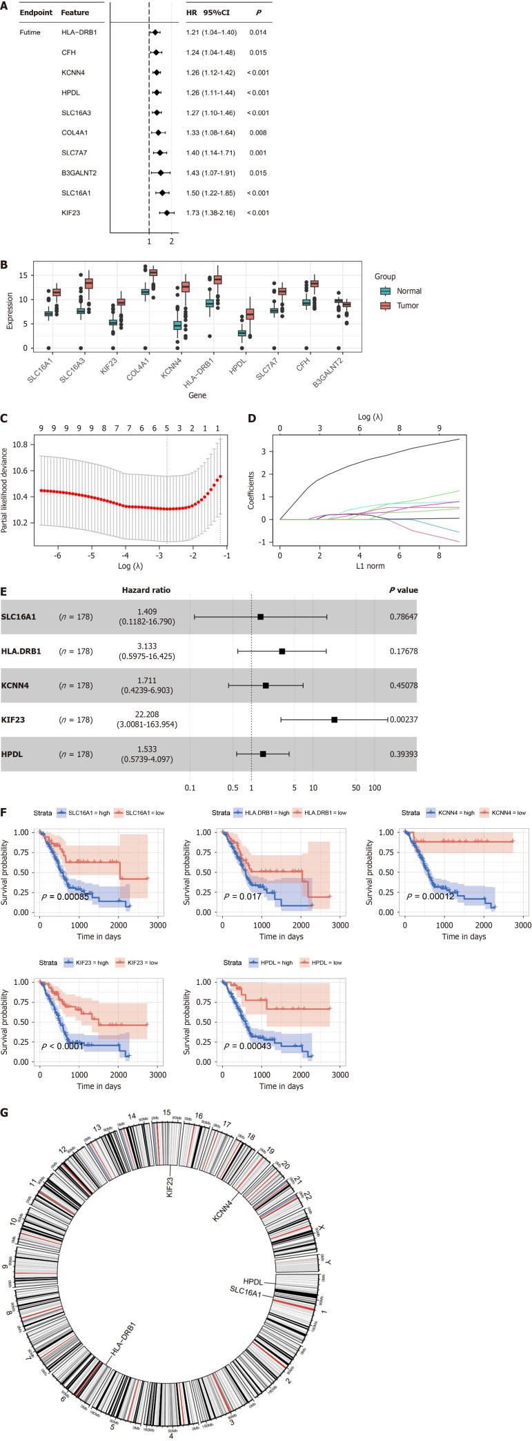 https://cdn.ncbi.nlm.nih.gov/pmc/blobs/773a/11135411/5ce231aff23c/WJG-30-2575-g002.jpg