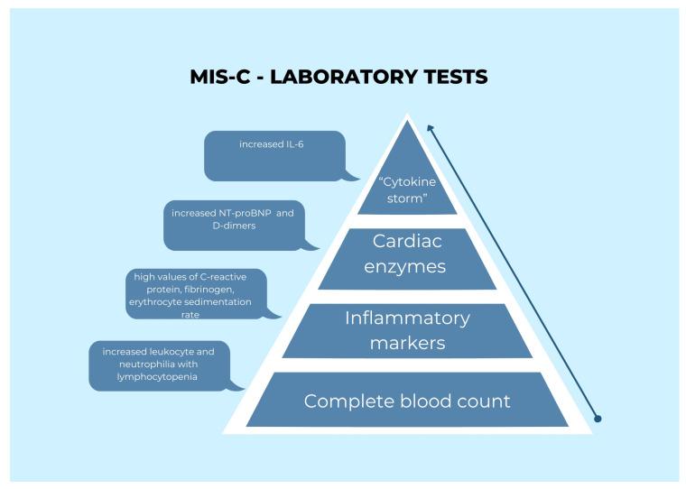 https://cdn.ncbi.nlm.nih.gov/pmc/blobs/773a/9957378/6a23c5572ea8/healthcare-11-00544-g004.jpg