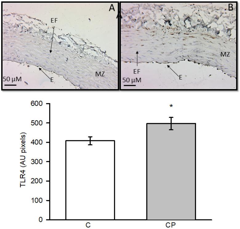https://cdn.ncbi.nlm.nih.gov/pmc/blobs/773b/11509398/8c5224d8c136/metabolites-14-00555-g004.jpg