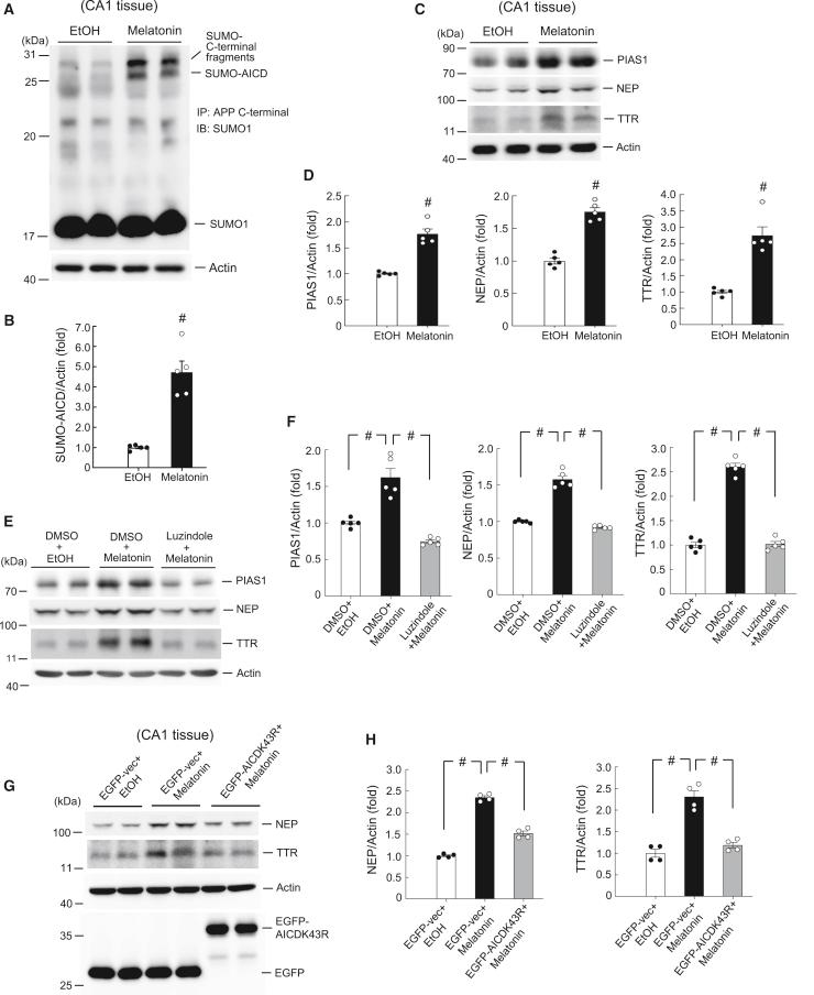 https://cdn.ncbi.nlm.nih.gov/pmc/blobs/773b/7791018/43dab6a13414/gr6.jpg
