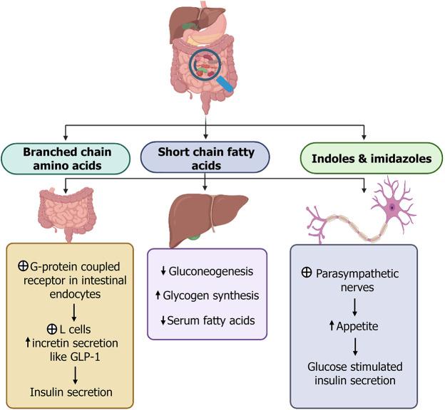 https://cdn.ncbi.nlm.nih.gov/pmc/blobs/773c/11372632/c6a7f04ed016/WJD-15-1874-g003.jpg