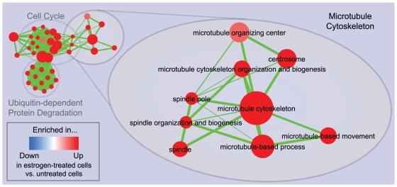 https://cdn.ncbi.nlm.nih.gov/pmc/blobs/773f/2981572/99d0b7665d1d/pone.0013984.g004.jpg
