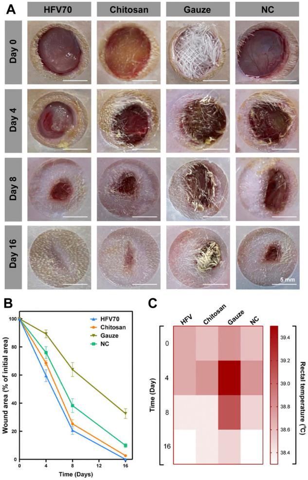 https://cdn.ncbi.nlm.nih.gov/pmc/blobs/773f/9593062/c448b63bfb6f/fbioe-10-960407-g006.jpg