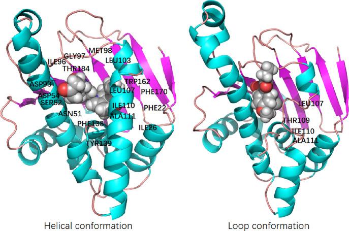 https://cdn.ncbi.nlm.nih.gov/pmc/blobs/7740/10210189/c714fb592295/ao3c02294_0006.jpg