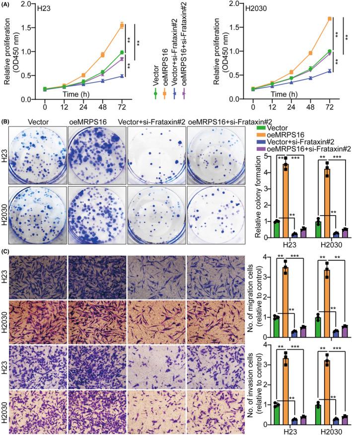 https://cdn.ncbi.nlm.nih.gov/pmc/blobs/7740/10951875/2eb20e703a2e/JCMM-28-e18166-g004.jpg
