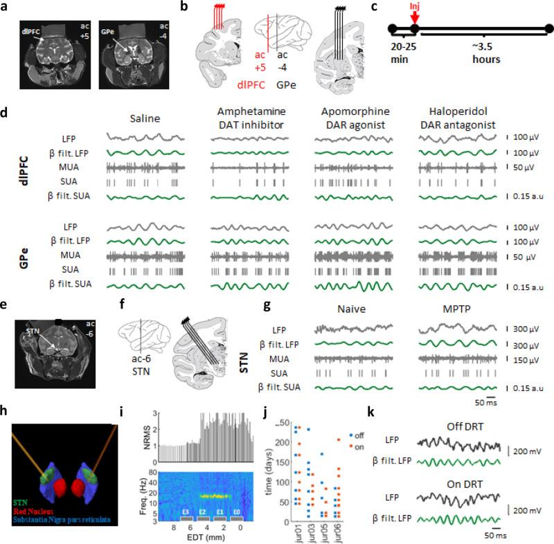 https://cdn.ncbi.nlm.nih.gov/pmc/blobs/7741/8640051/7242fb2d7a81/41467_2021_27375_Fig1_HTML.jpg