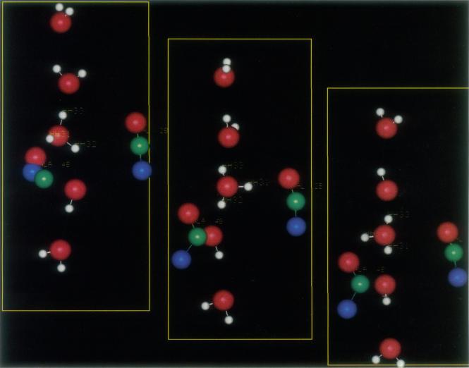 https://cdn.ncbi.nlm.nih.gov/pmc/blobs/7743/1225180/04b2443bef54/biophysj00047-0011-a.jpg