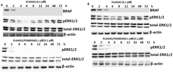 https://cdn.ncbi.nlm.nih.gov/pmc/blobs/7743/6180498/ed7e4332a91f/13044_2018_57_Fig3_HTML.jpg