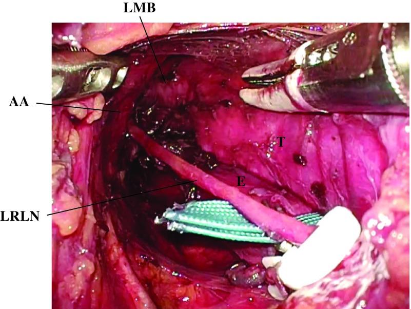 https://cdn.ncbi.nlm.nih.gov/pmc/blobs/7743/6197999/91560a7e55b6/atcs-24-219-g002.jpg