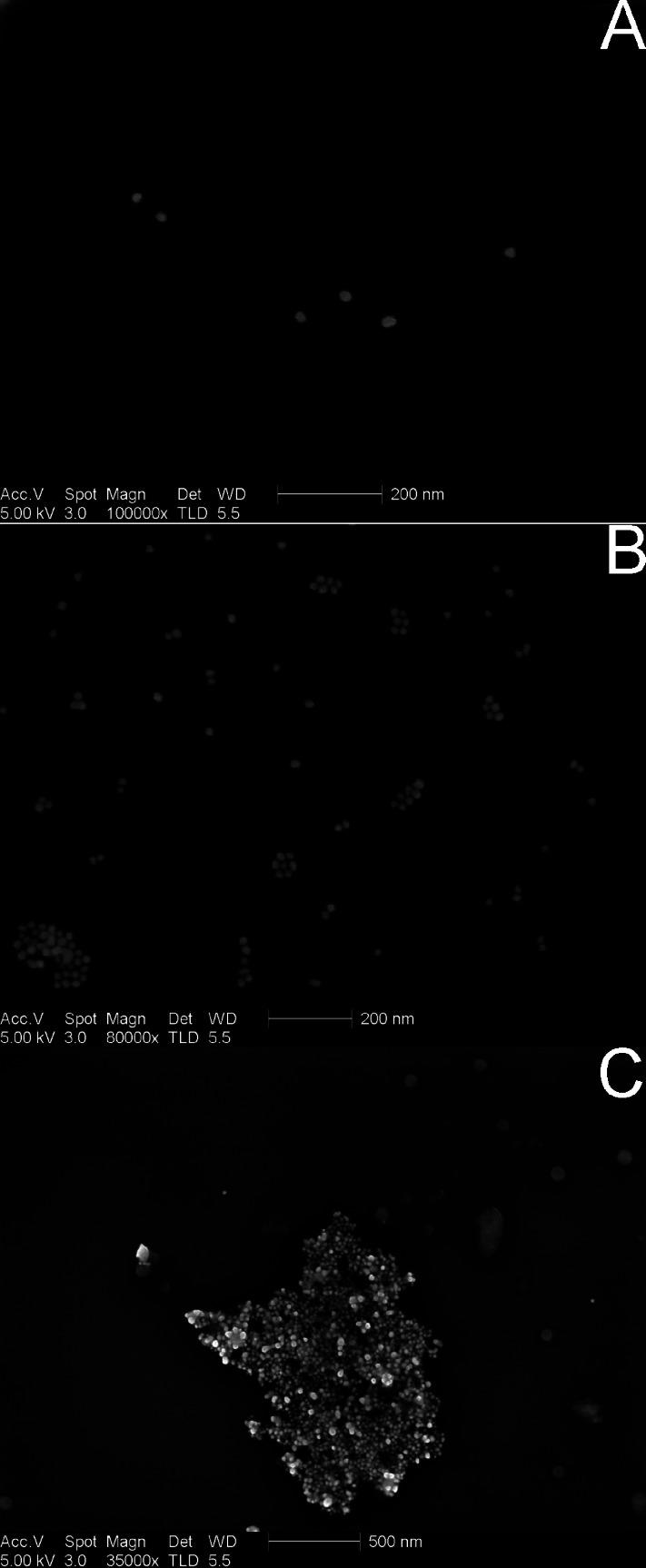 https://cdn.ncbi.nlm.nih.gov/pmc/blobs/7744/3662397/ae89da4badf2/ja-2009-08117a_0004.jpg