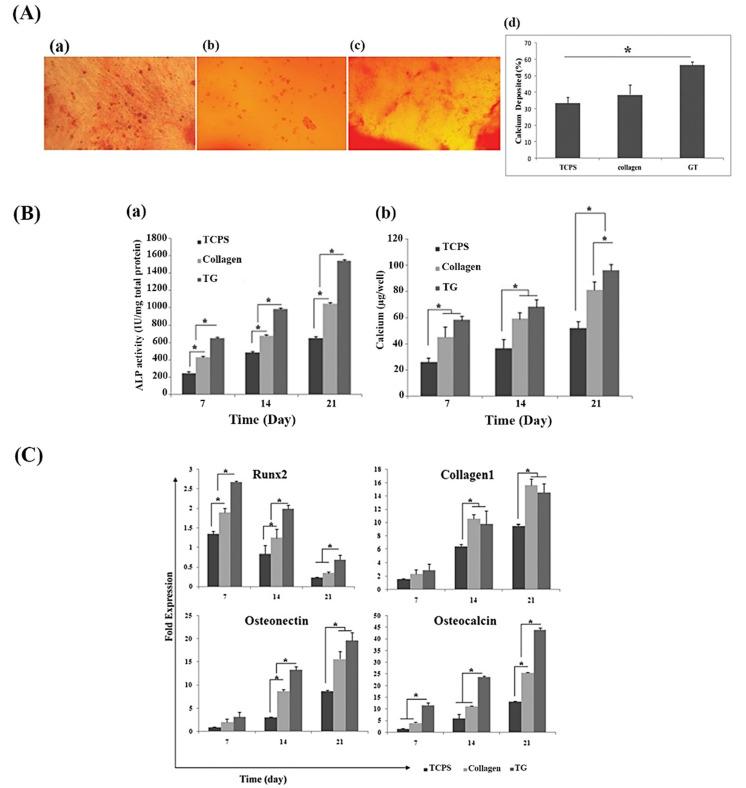 https://cdn.ncbi.nlm.nih.gov/pmc/blobs/7744/8000171/11e3c6db4b59/molecules-26-01510-g005.jpg