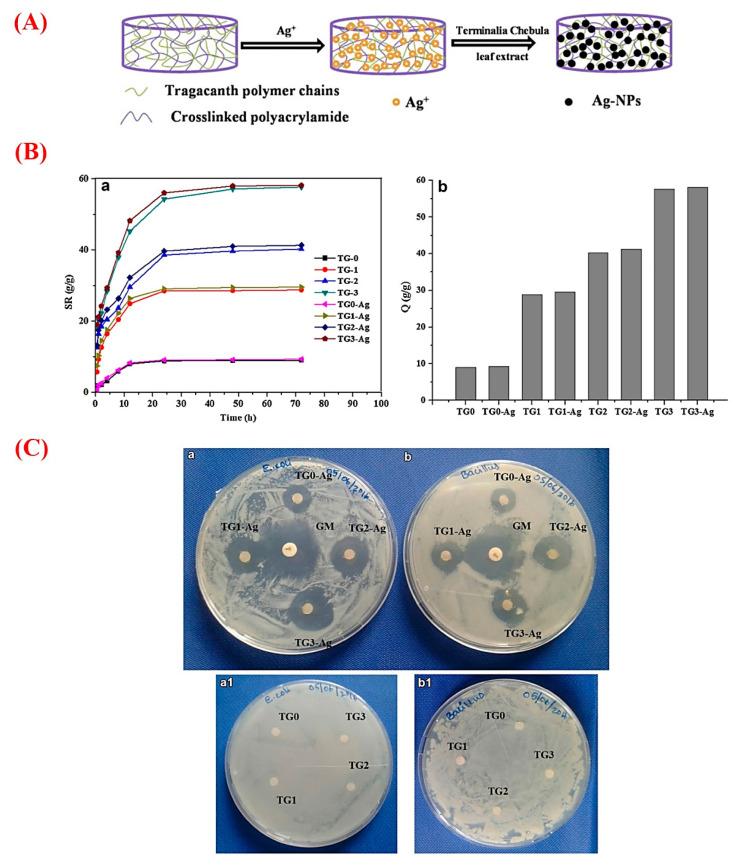 https://cdn.ncbi.nlm.nih.gov/pmc/blobs/7744/8000171/d63e59d48a41/molecules-26-01510-g004.jpg