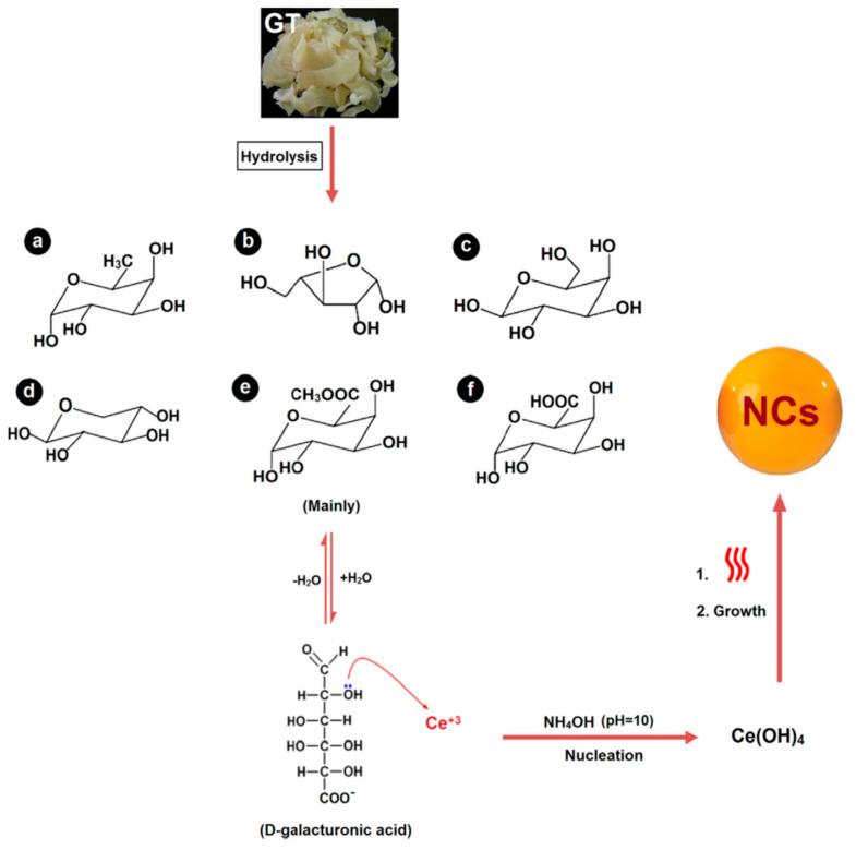 https://cdn.ncbi.nlm.nih.gov/pmc/blobs/7744/8000171/eacc344571c1/molecules-26-01510-g003.jpg