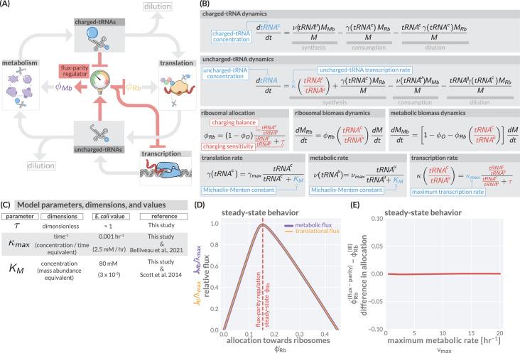 https://cdn.ncbi.nlm.nih.gov/pmc/blobs/7749/10110240/1873033f715f/elife-84878-fig2.jpg