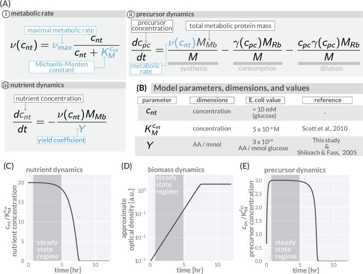 https://cdn.ncbi.nlm.nih.gov/pmc/blobs/7749/10110240/285d209b9898/elife-84878-fig1-figsupp2.jpg