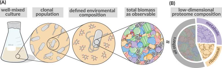 https://cdn.ncbi.nlm.nih.gov/pmc/blobs/7749/10110240/539fbbd80414/elife-84878-fig1-figsupp1.jpg