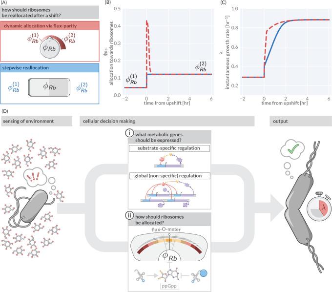 https://cdn.ncbi.nlm.nih.gov/pmc/blobs/7749/10110240/c9ede161e918/elife-84878-fig5.jpg