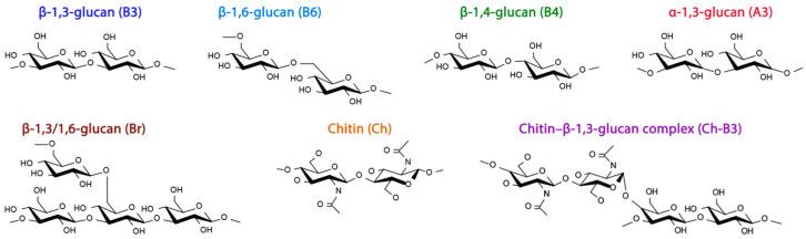 https://cdn.ncbi.nlm.nih.gov/pmc/blobs/7749/10745363/6f27ec40ba82/molecules-28-08066-g001.jpg