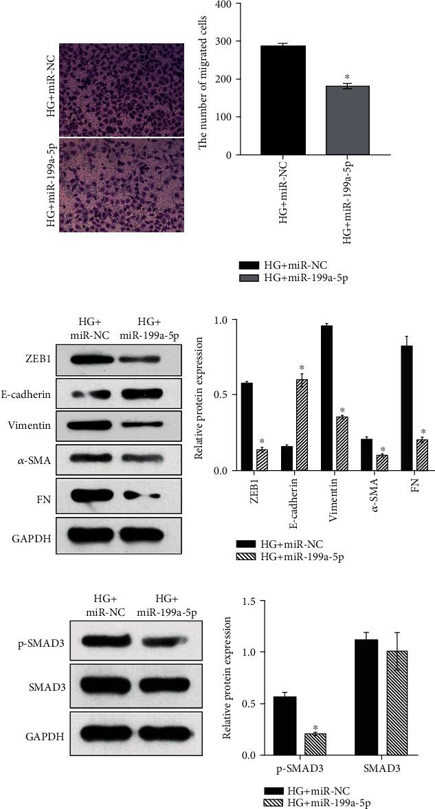 https://cdn.ncbi.nlm.nih.gov/pmc/blobs/774a/7781694/6191677bf342/BMRI2020-8895003.005.jpg