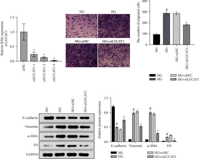 https://cdn.ncbi.nlm.nih.gov/pmc/blobs/774a/7781694/fb55b0c5dc5b/BMRI2020-8895003.002.jpg