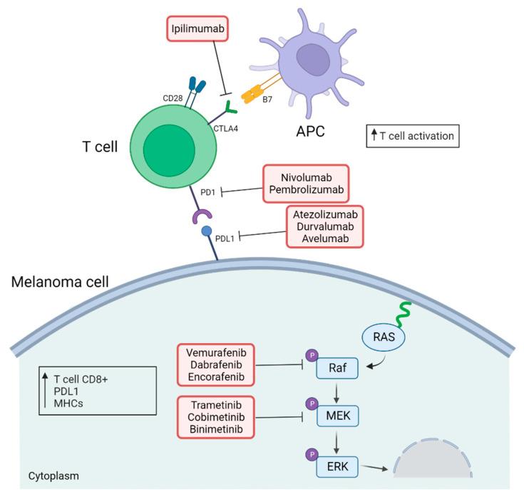 https://cdn.ncbi.nlm.nih.gov/pmc/blobs/774b/9687808/9689b318f7ab/biomolecules-12-01562-g003.jpg