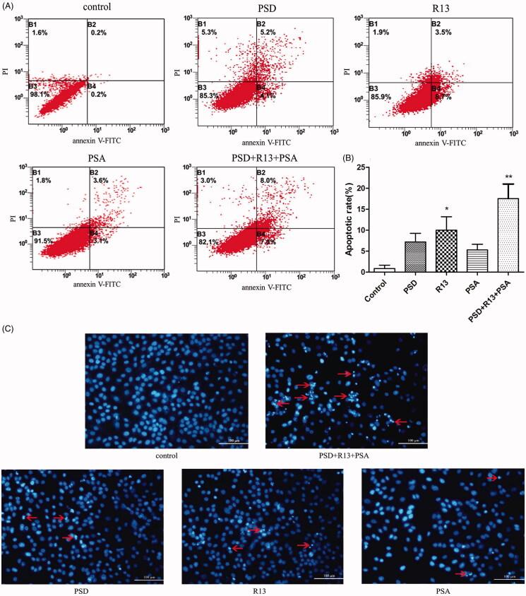 https://cdn.ncbi.nlm.nih.gov/pmc/blobs/7750/7337008/1ceb977313aa/IPHB_A_1761404_F0004_C.jpg