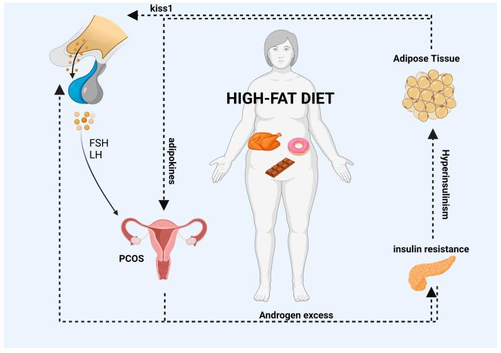 https://cdn.ncbi.nlm.nih.gov/pmc/blobs/7754/10180647/d4e97341c993/nutrients-15-02230-g001.jpg