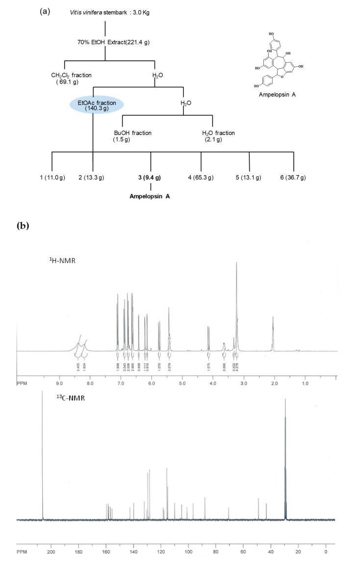 https://cdn.ncbi.nlm.nih.gov/pmc/blobs/7758/8225166/564945056b8a/antioxidants-10-00835-g001a.jpg