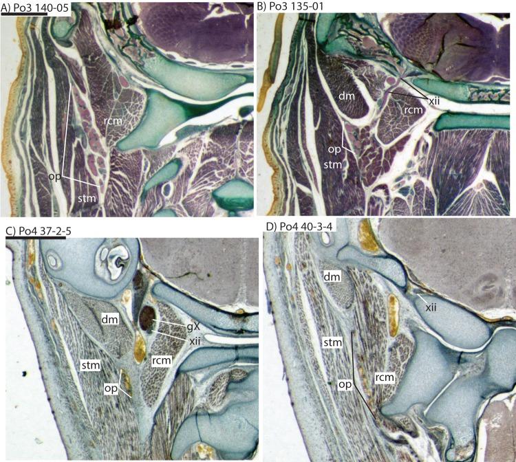 https://cdn.ncbi.nlm.nih.gov/pmc/blobs/7759/4841219/31529cffcc01/peerj-04-1906-g008.jpg