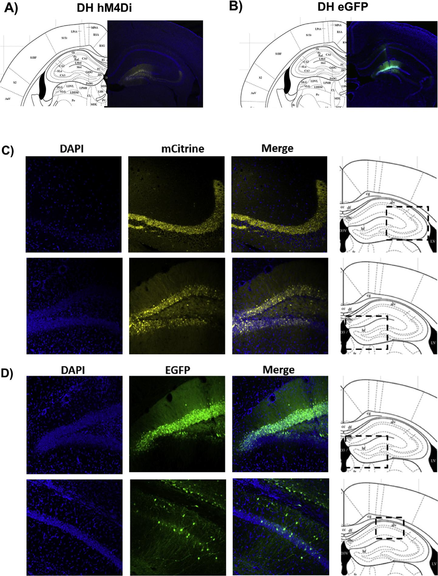 https://cdn.ncbi.nlm.nih.gov/pmc/blobs/7759/7310386/77b2b59339a4/nihms-1594215-f0001.jpg