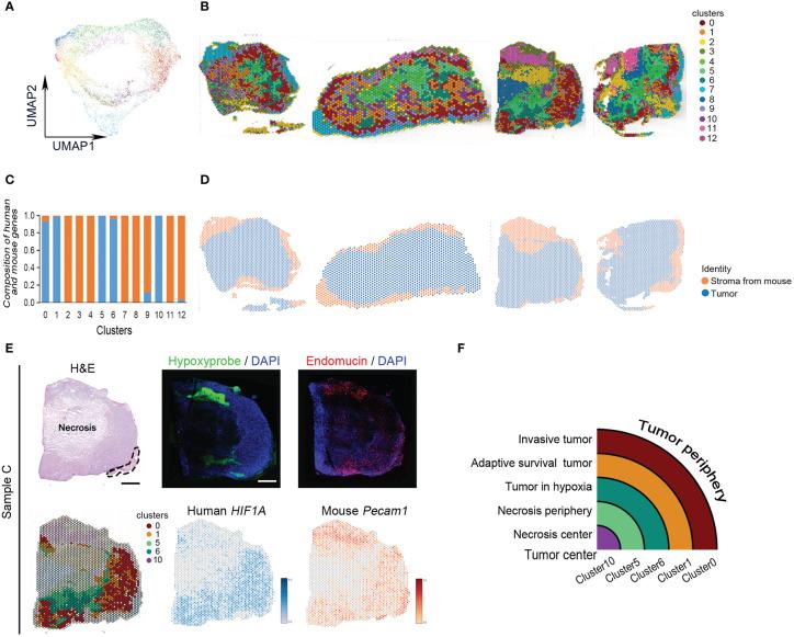 https://cdn.ncbi.nlm.nih.gov/pmc/blobs/775a/9846556/9104c5abdc5a/fimmu-13-1042835-g002.jpg