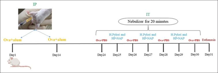 https://cdn.ncbi.nlm.nih.gov/pmc/blobs/775e/12039875/585c33330799/ABR-14-28-g001.jpg