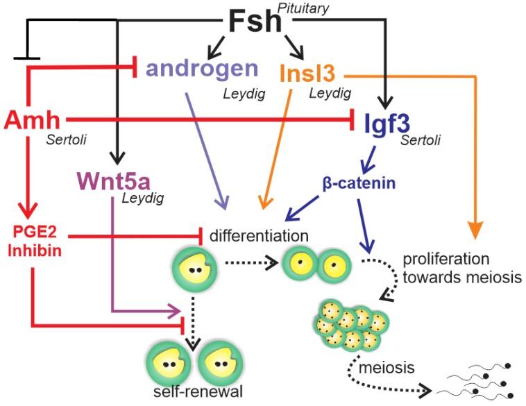 https://cdn.ncbi.nlm.nih.gov/pmc/blobs/775e/7226347/0d8d0baaca15/biomolecules-10-00644-g006.jpg