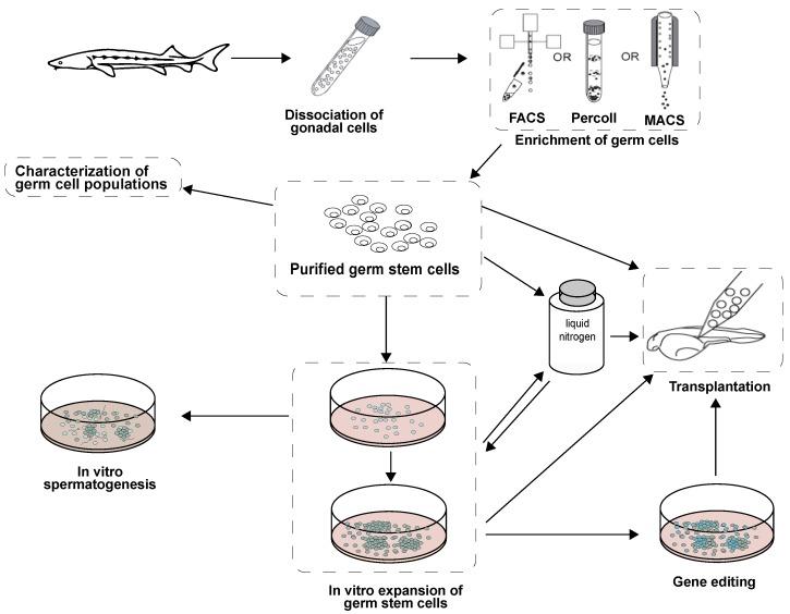 https://cdn.ncbi.nlm.nih.gov/pmc/blobs/775e/7226347/6a21ec04bb20/biomolecules-10-00644-g009.jpg