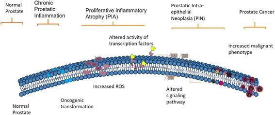 https://cdn.ncbi.nlm.nih.gov/pmc/blobs/7761/5017015/4edbb0834e75/13046_2016_418_Fig4_HTML.jpg