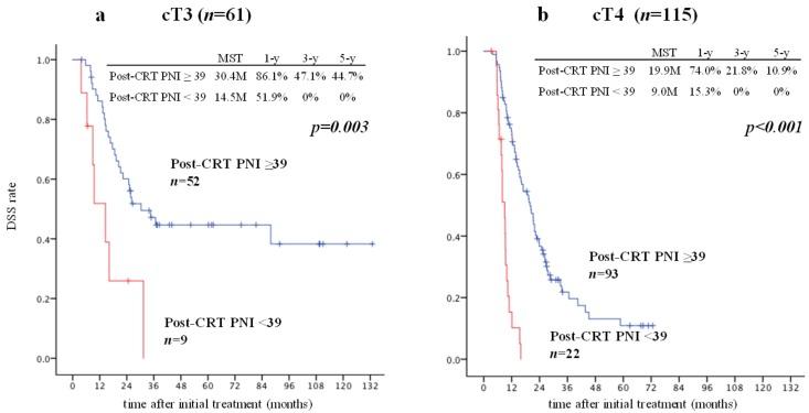 https://cdn.ncbi.nlm.nih.gov/pmc/blobs/7761/6520898/128c3f09290c/cancers-11-00514-g004.jpg