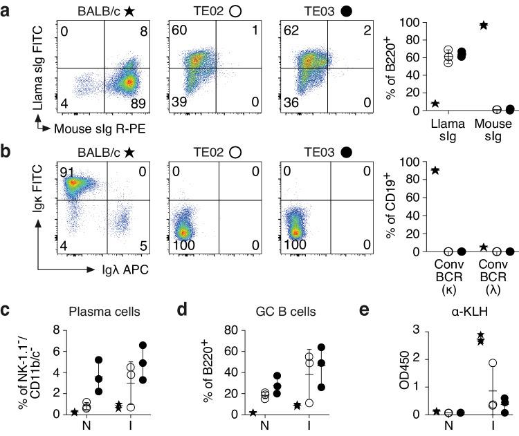 https://cdn.ncbi.nlm.nih.gov/pmc/blobs/7762/11148044/8579a515f6b7/41467_2024_48735_Fig2_HTML.jpg
