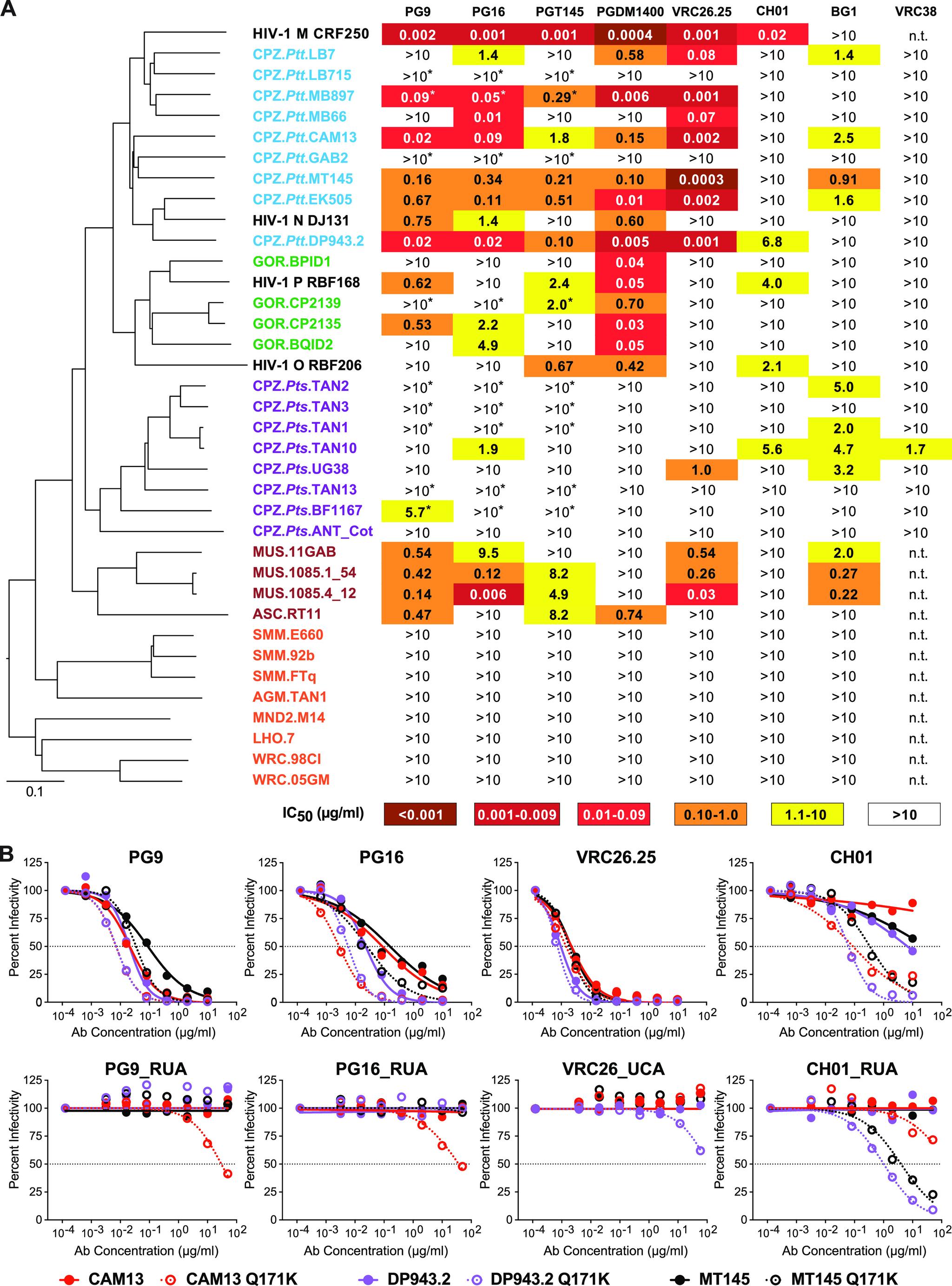 https://cdn.ncbi.nlm.nih.gov/pmc/blobs/7765/9973348/6b0aba1addc4/mbio.03370-22-f001.jpg