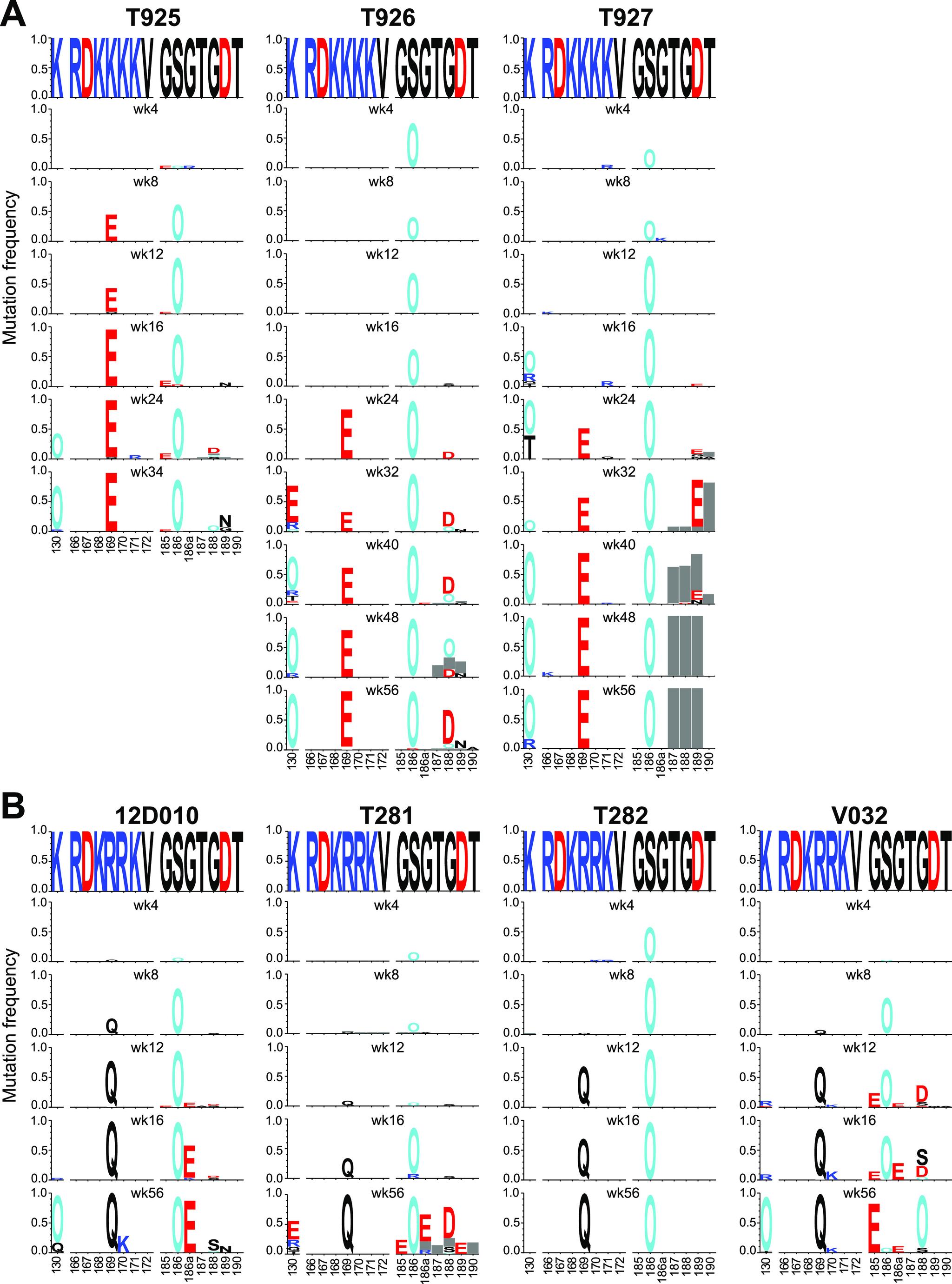 https://cdn.ncbi.nlm.nih.gov/pmc/blobs/7765/9973348/e1b7ae009e90/mbio.03370-22-f004.jpg