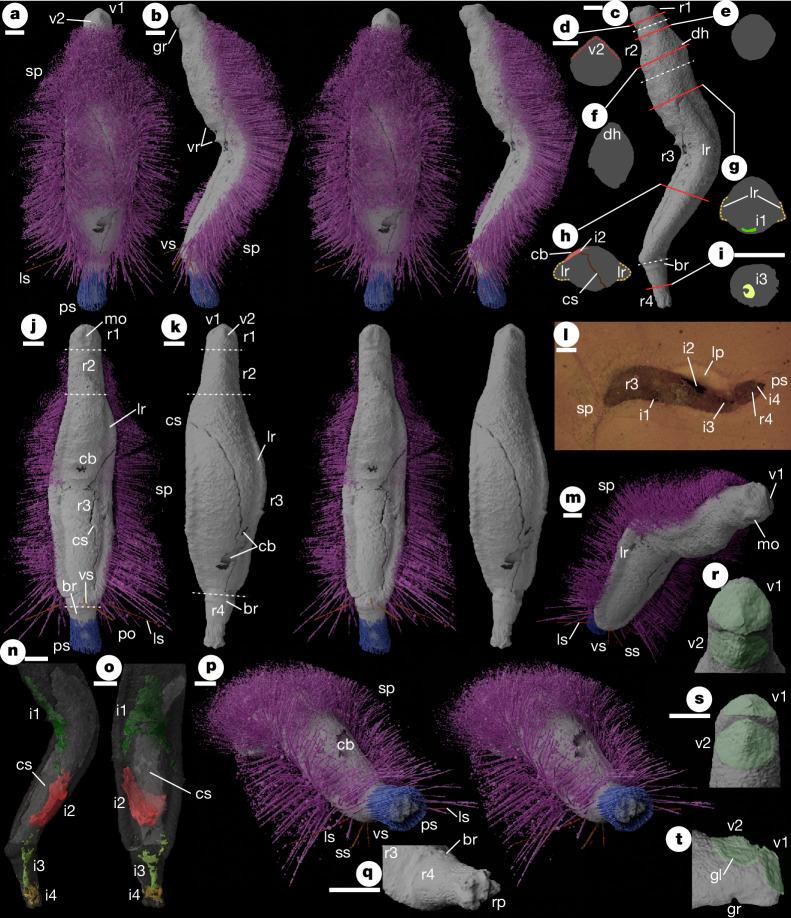 https://cdn.ncbi.nlm.nih.gov/pmc/blobs/7768/11735398/415ce3f019c3/41586_2024_8312_Fig2_HTML.jpg