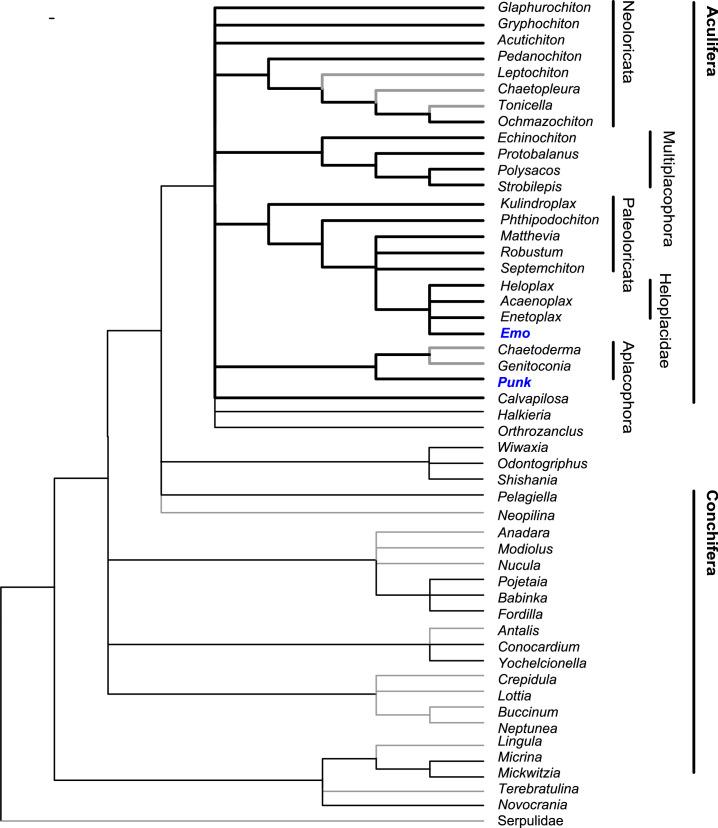 https://cdn.ncbi.nlm.nih.gov/pmc/blobs/7768/11735398/c97639f59426/41586_2024_8312_Fig5_ESM.jpg