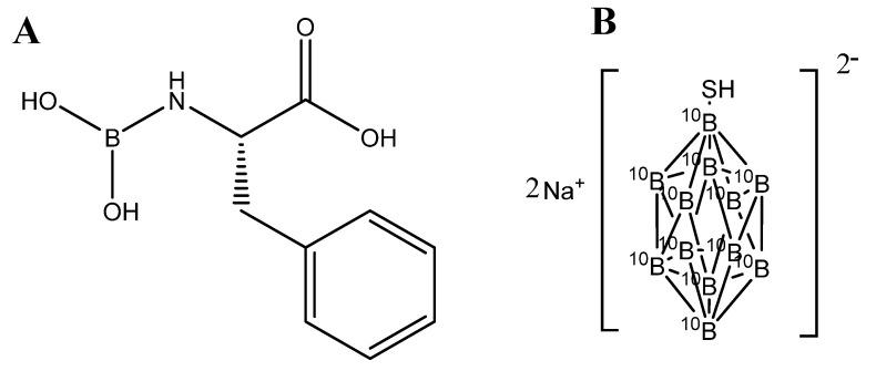 https://cdn.ncbi.nlm.nih.gov/pmc/blobs/7769/11217788/0fe1b22de153/ntnov08p0458g002.jpg