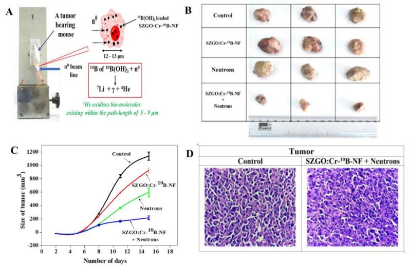 https://cdn.ncbi.nlm.nih.gov/pmc/blobs/7769/11217788/c2680fba6fa7/ntnov08p0458g004.jpg