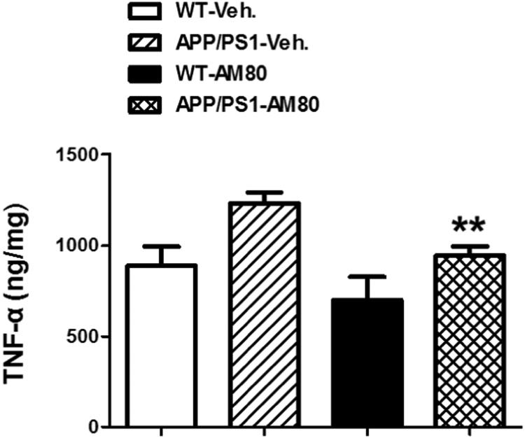 https://cdn.ncbi.nlm.nih.gov/pmc/blobs/776a/8019995/bef828dfbaa7/gr6.jpg