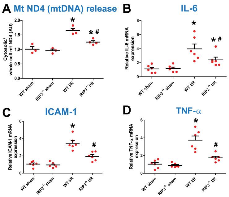 https://cdn.ncbi.nlm.nih.gov/pmc/blobs/776b/9220894/b0f74e8af6df/cells-11-01894-g006.jpg